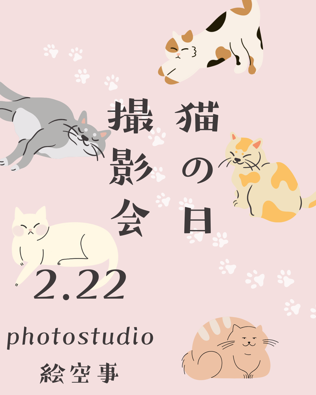🐈 2/22 猫の日 撮影会